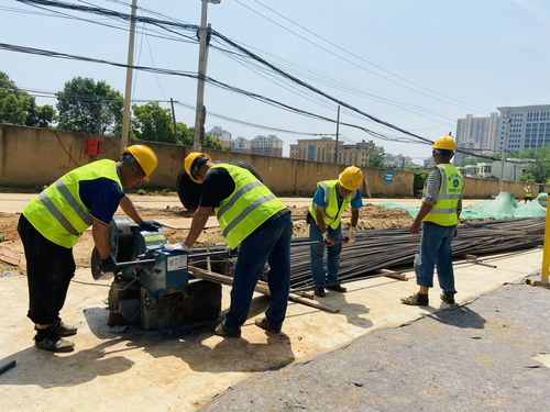 白沙洲的這條路有望年底全部翻新,還將新增非機(jī)動(dòng)車(chē)道和人行道